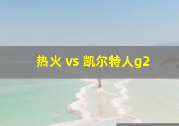 热火 vs 凯尔特人g2